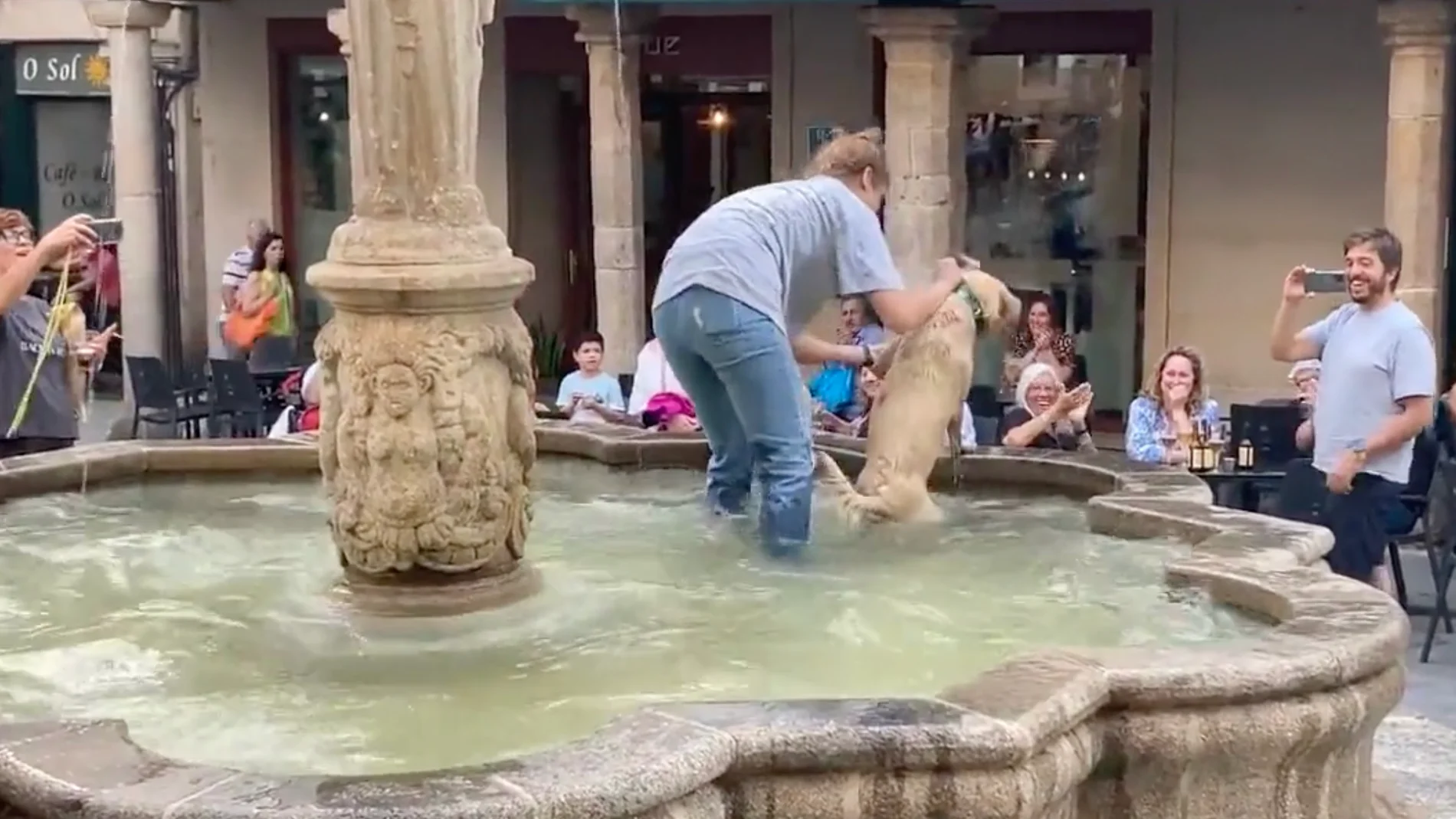 Un perro en Ourense se mete en una fuente y obliga a su dueña a meterse también