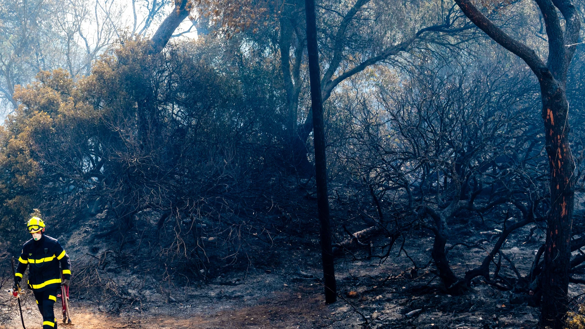 Varios operarios del INFOCA trabajan en el parque de las Canteras tras el incendio declarado este domingo en Puerto Real a 07 de agosto del 2023 en Puerto Real (Cádiz, Andalucía).