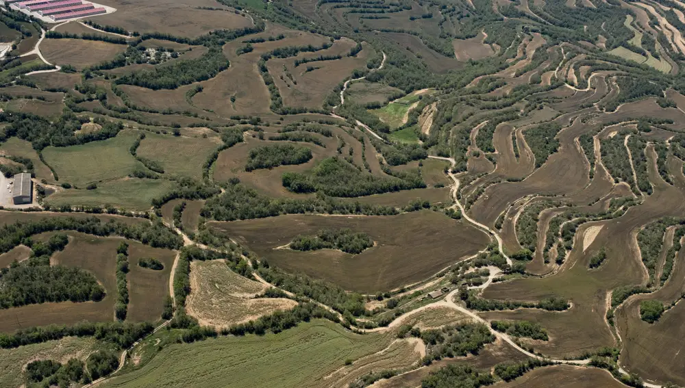 En la imagen, tomada en la provincia de Lleida, los tonos marrón más oscuros son restos de purines generados (y esparcidos) por macrogranjas aledañas, como la que aparece en la esquina superior izquierda. 