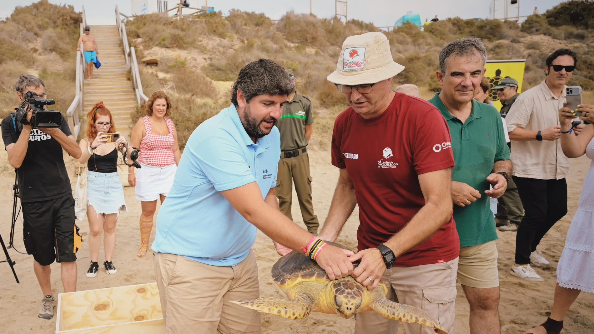 El presidente murciano en funciones, Fernando López Miras, durante la suelta de las tortugas en Águilas