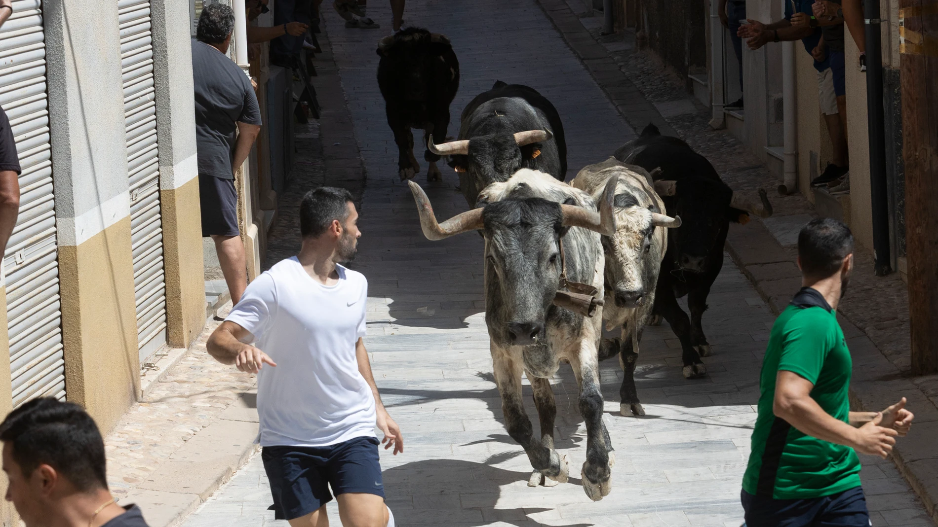 Primer encierro de las fiestas patronales de Blanca
