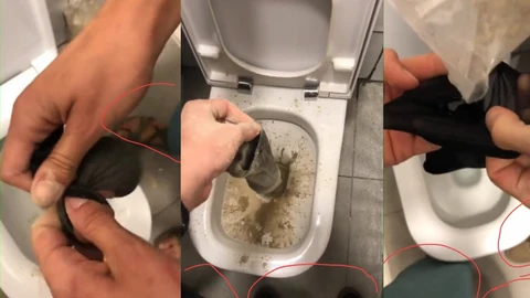 Vandalismo vegetal, un grupo de delincuentes sabotea los baños de Burger King en Bilbao con calcetines y cemento rápido
