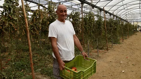 Álvaro Bazán, agricultor de Lagos -núcleo de Vélez-Málaga