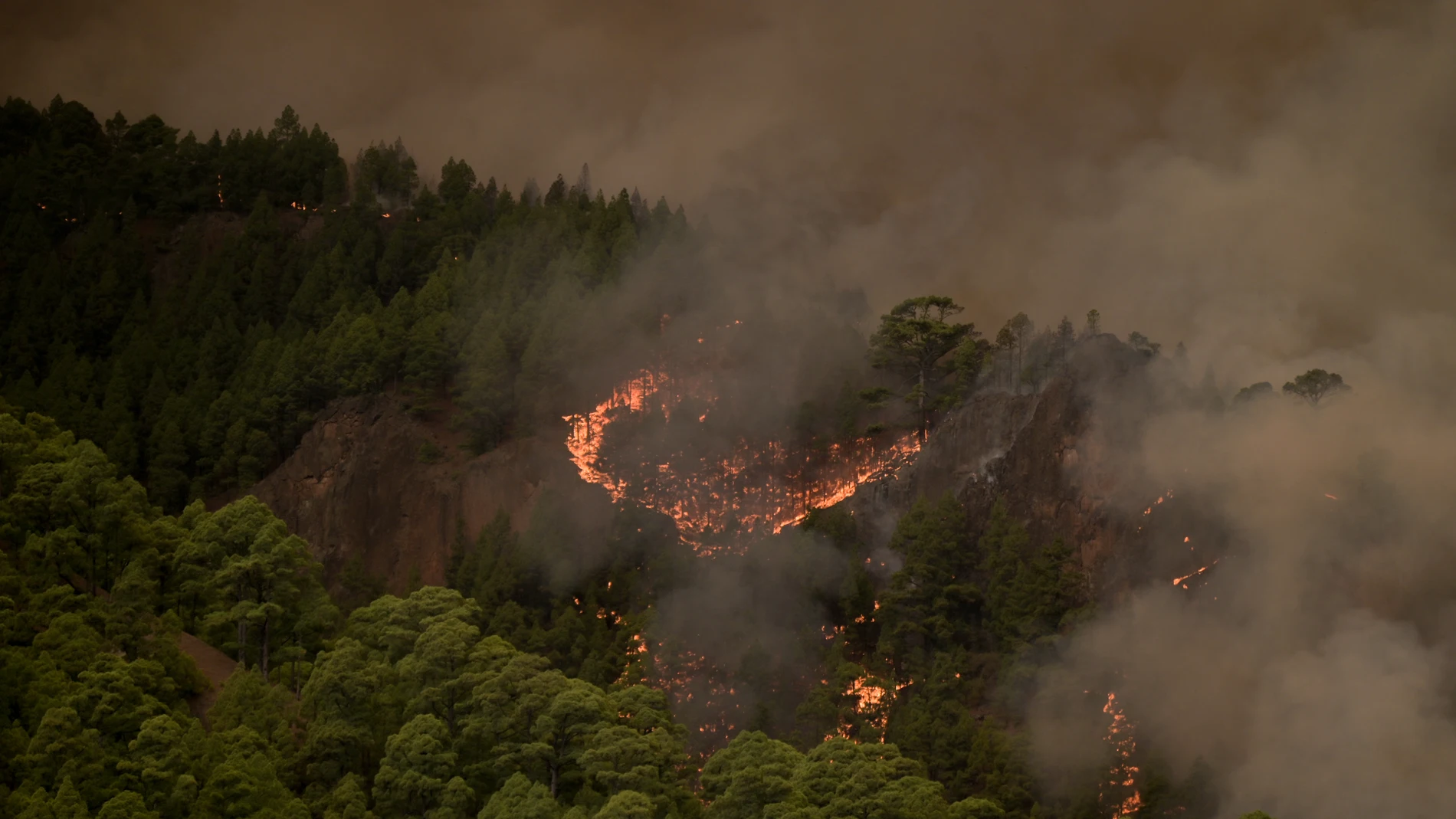 Incendios.- Ordenan la evacuación de la zona alta de Araya por el incendio forestal de Tenerife