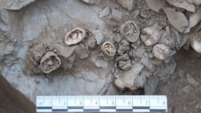 Hallan restos de un niño de la Edad del Cobre en el dolmen de Santa Inés, en Bernardos (Segovia)