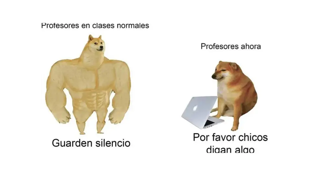 Las redes de luto: Muere 'Cheems', el perrito de los memes más famoso ...