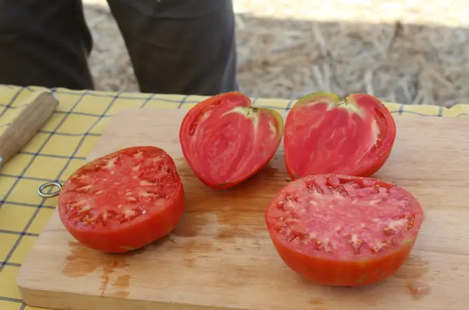 Jugo de tomate contra la salmonella