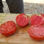 El lote ganador de la tradicional subasta al mejor Tomate Huevo de Toro alcanzó los 1.900 euros