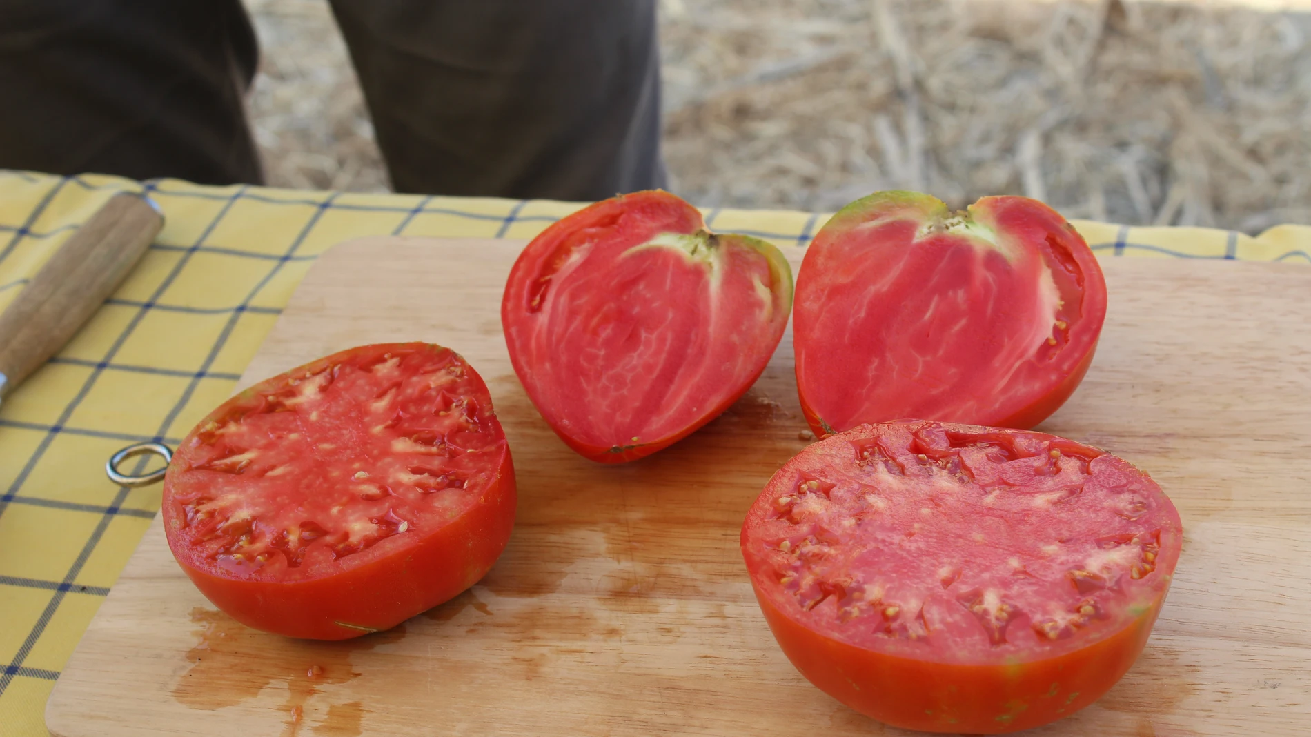 El lote ganador de la tradicional subasta al mejor Tomate Huevo de Toro alcanzó los 1.900 euros