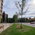 Los inquilinos de las viviendas de alquiler municipal habilitadas por el Ayuntamiento de Salamanca valoran su calidad y bienestar