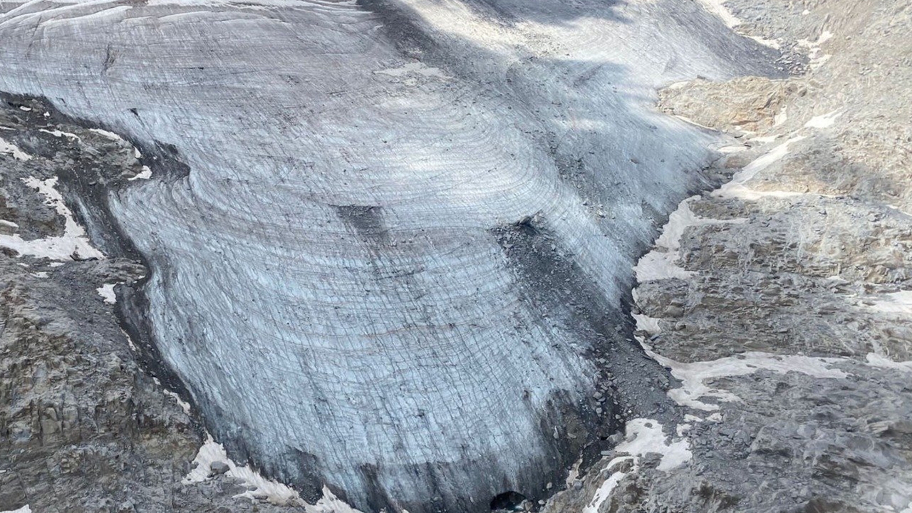 Le glacier, une espèce en voie de disparition