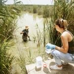 Unos técnicos recogen una muestra de agua en la Albufera de Valencia