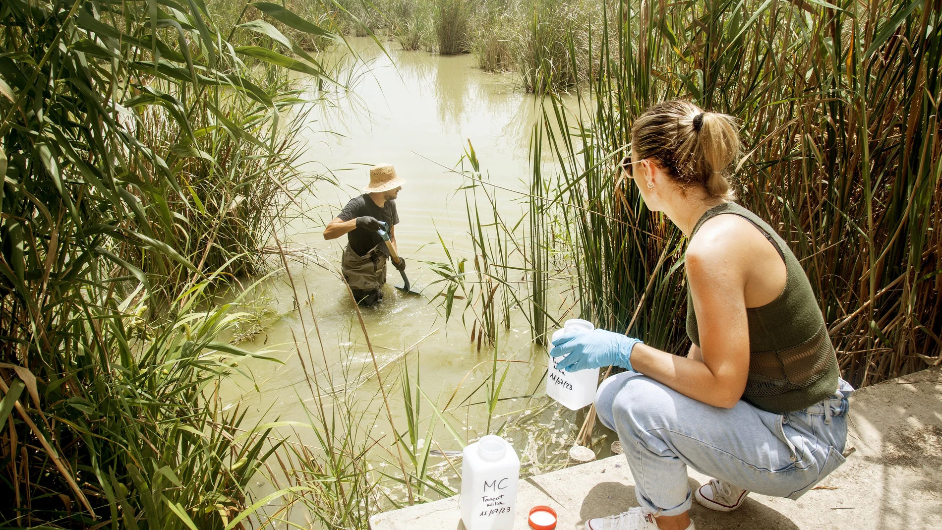 Unos técnicos recogen una muestra de agua en la Albufera de Valencia