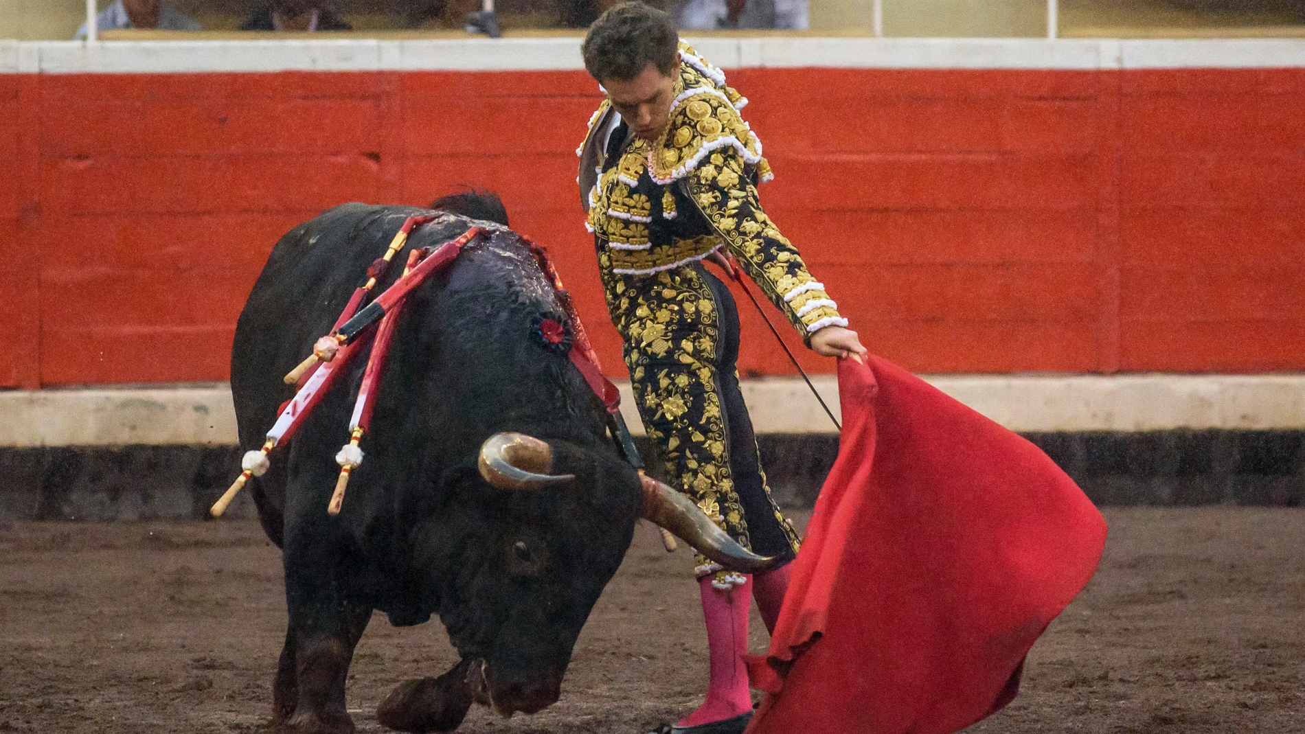 BILBAO, 25/08/2023.- El torero Ginés Marín con el segundo de los de su lote con el que ha conseguido una oreja, durante la corrida de la Feria de Bilbao celebrada este viernes en la plaza de toros de Vistalegre. EFE/Javier Zorrilla 