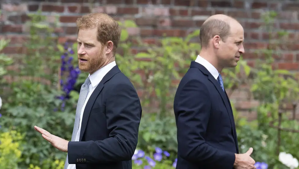 Prince Harry, left, and Prince William stand together 