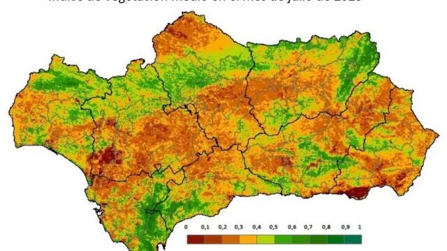 Las zonas con vegetación más activa y vigorosa se representan con tonos verdes; las áreas estresadas o sin actividad, con tonos marrones