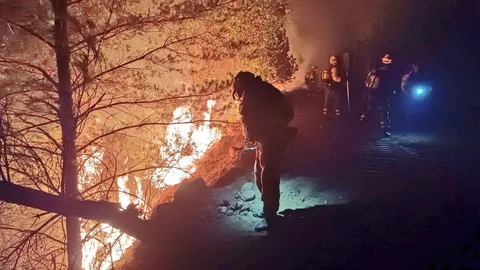 Incendio en San Bartolomé de Rueda (León)