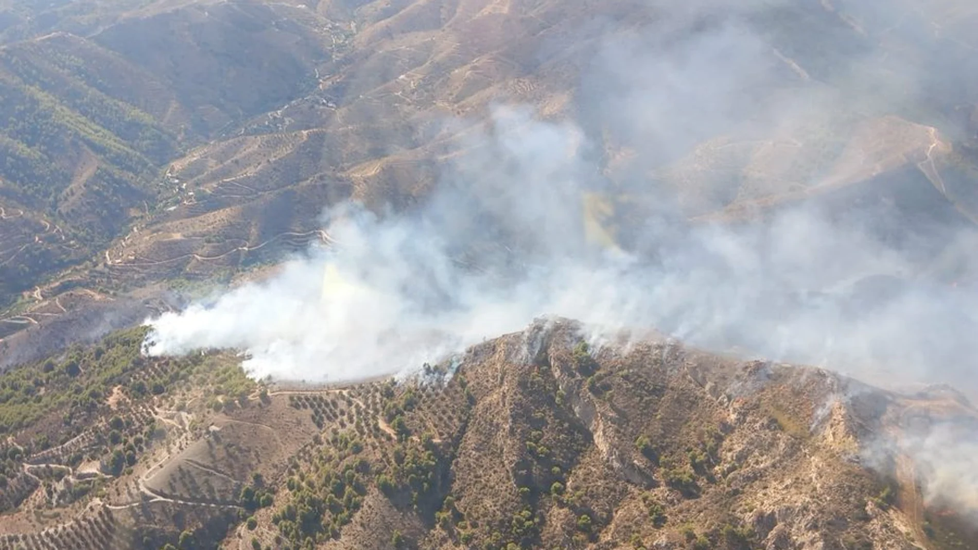 Trece medios aéreos y 133 efectivos por tierra tratan de extinguir un fuego en Almuñécar