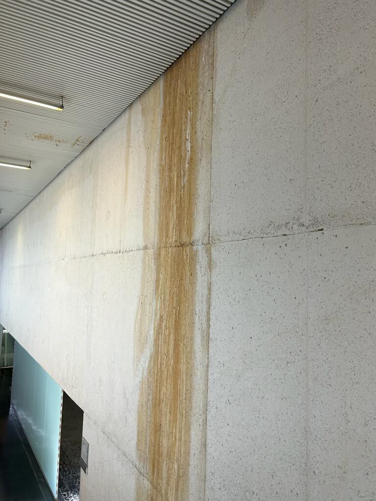 Imagen de una pared del Palau llena de humedades