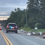 Carretera cortada en la región de Halton, en Canadá, tras escaparse 5 millones de abejas de un camión