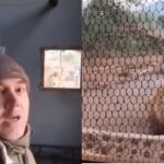 Vídeo: Un hombre se encuentra cara a cara con un león en Sudáfrica