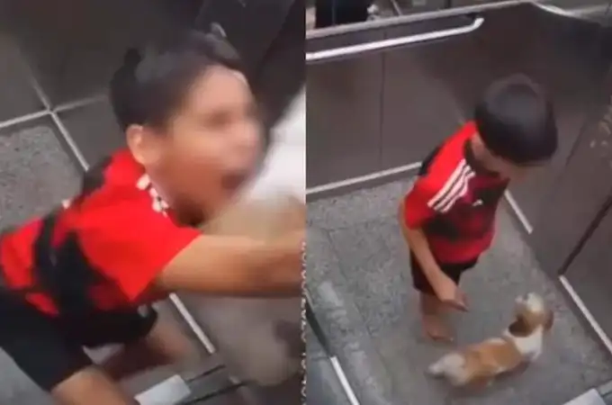 Vídeo: Un niño de 11 años salva a su perrita de morir estrangulada en un ascensor