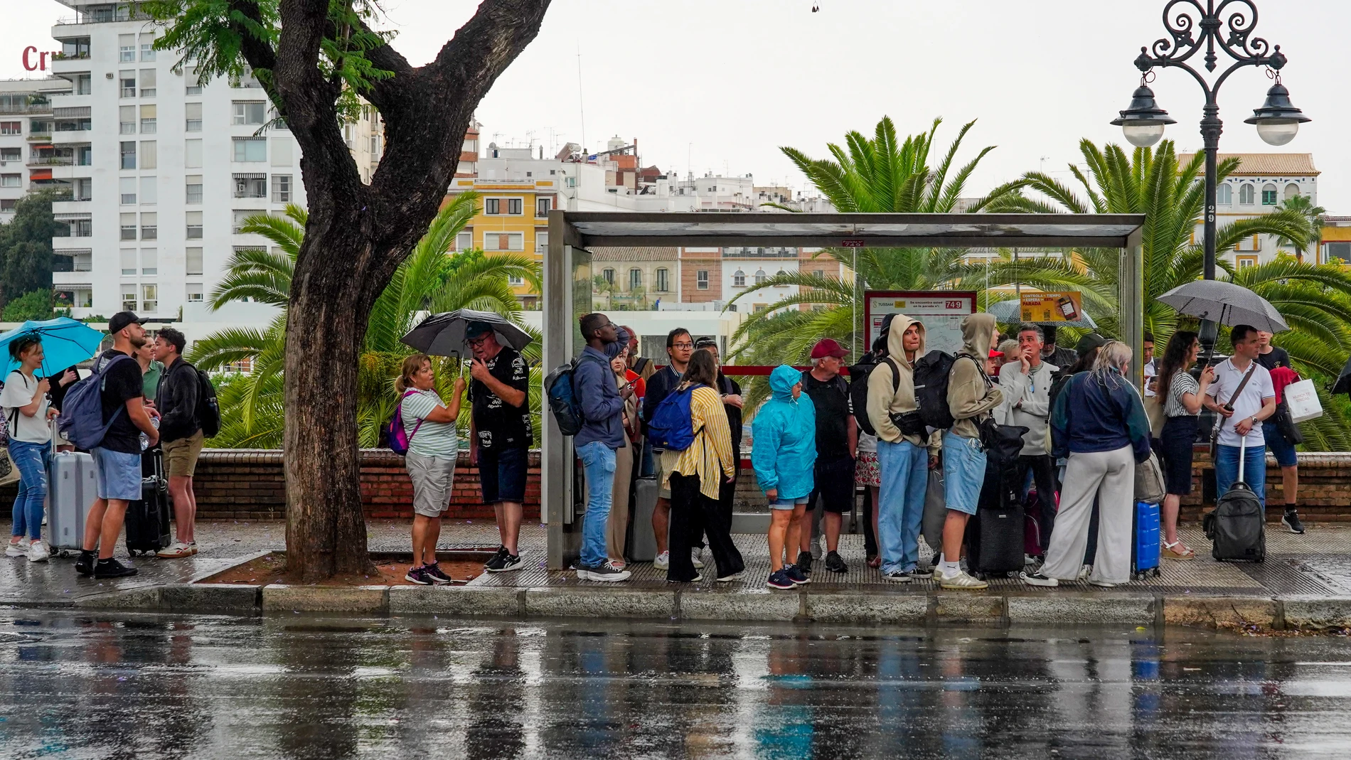 El 112 contabiliza más de 60 incidencias por la lluvia este domingo en Sevilla, la mayoría en la capital