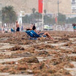 La playa urbana del Postiguet, en Alicante, el lunes, tras los efectos de la DANA.