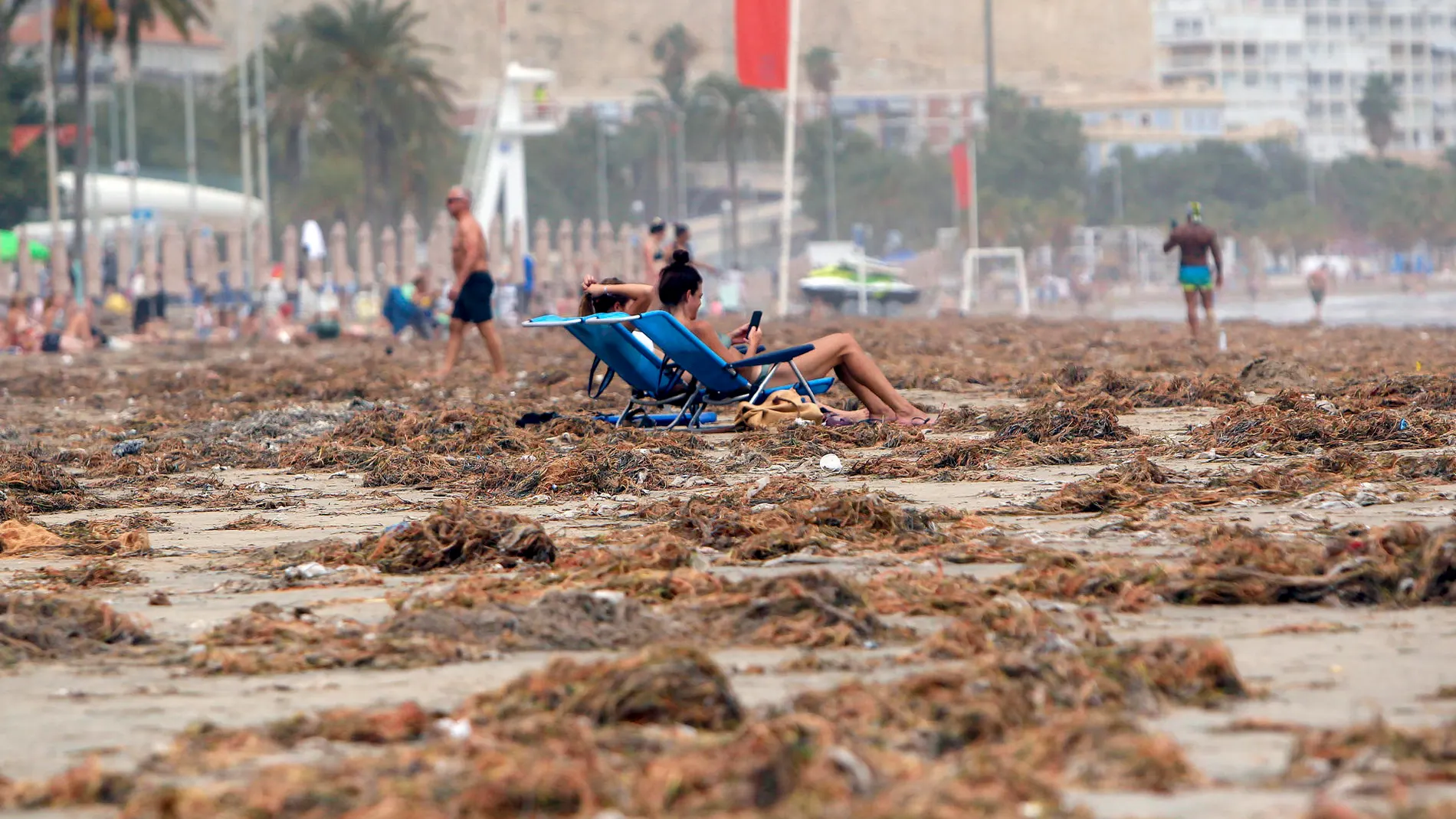 La playa urbana del Postiguet, en Alicante, el lunes, tras los efectos de la DANA.