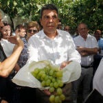 Mazón ha asistido hoy en Aspe (Alicante) al corte de uva de mesa del Vinalopó.