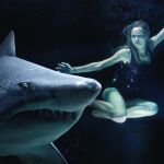Mujer nada al lado de un tiburón blanco. 