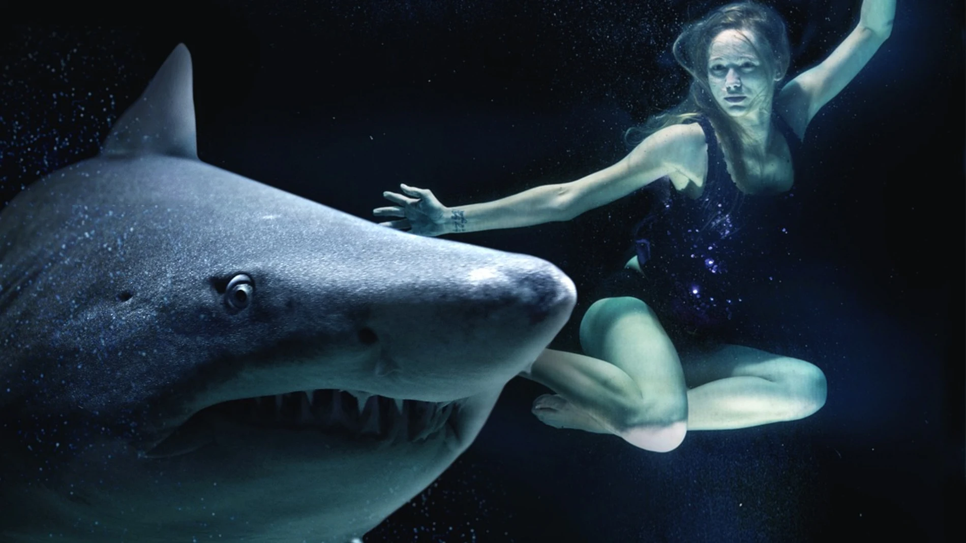 Mujer nada al lado de un tiburón blanco. 