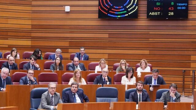 Un instante de las votaciones en la Cámara autonómica