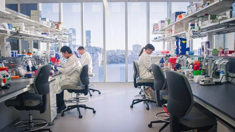 Laboratorio Bayer