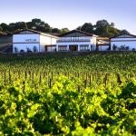 Bodega Vetus en Toro