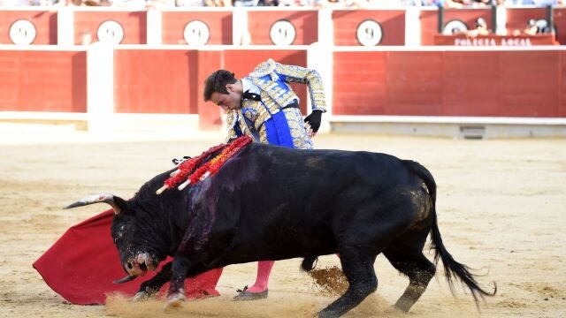 Albacete tiene toreros. Y toros