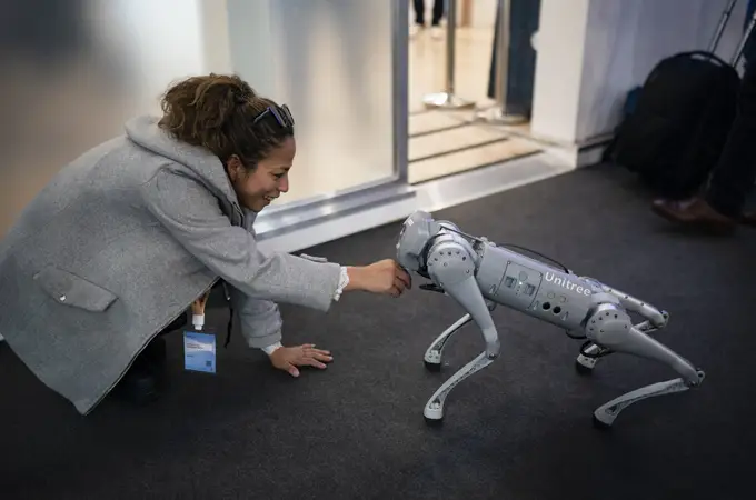 De paseo con las mascotas con IA