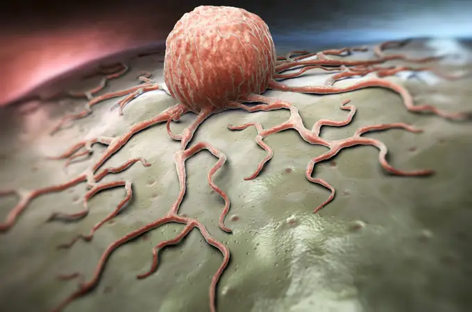 Sanidad amplía las indicaciones financiadas de la inmunoterapia en la lucha contra el cáncer 