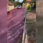 La rotura de un depósito provoca un "río" de vino en una localidad de Portugal