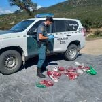 Un guardia civil supervisa el material incautado