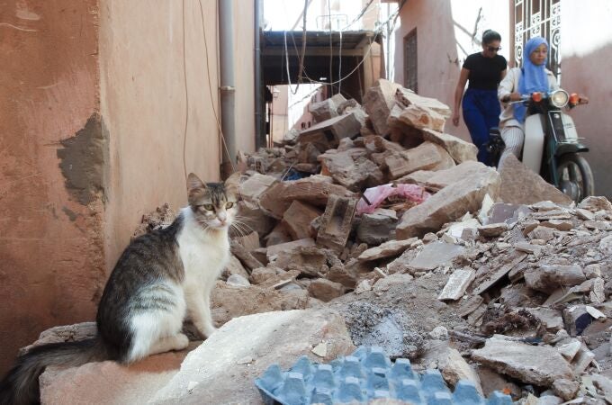 Vista de una calle próxima al Palacio Badia de Marrakech invadida de escombros.