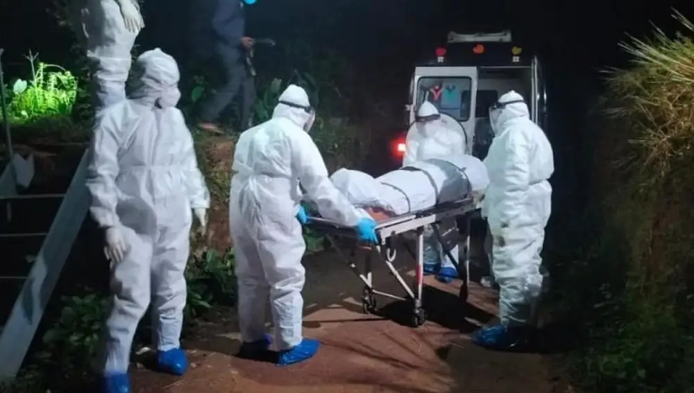 El virus Nipah puede acarrear encefalitis, coma y la muerte