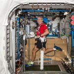 El astronauta Mark T. Vande Hei hace ejercicios en la cinta de correr de resistencia, en una imagen de archivo de la NASA 