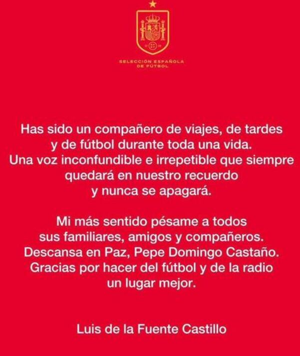 Comunicado del seleccionador Luis de la Fuente Castillo