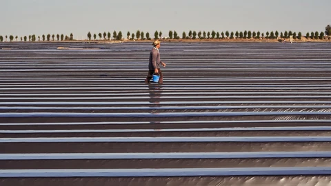 La innovación está cada vez más presente en la agricultura