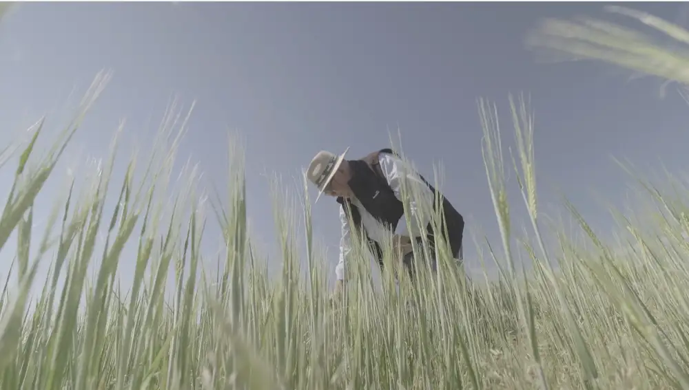 Un agricultor recoge la cebada baja en huella de carbono