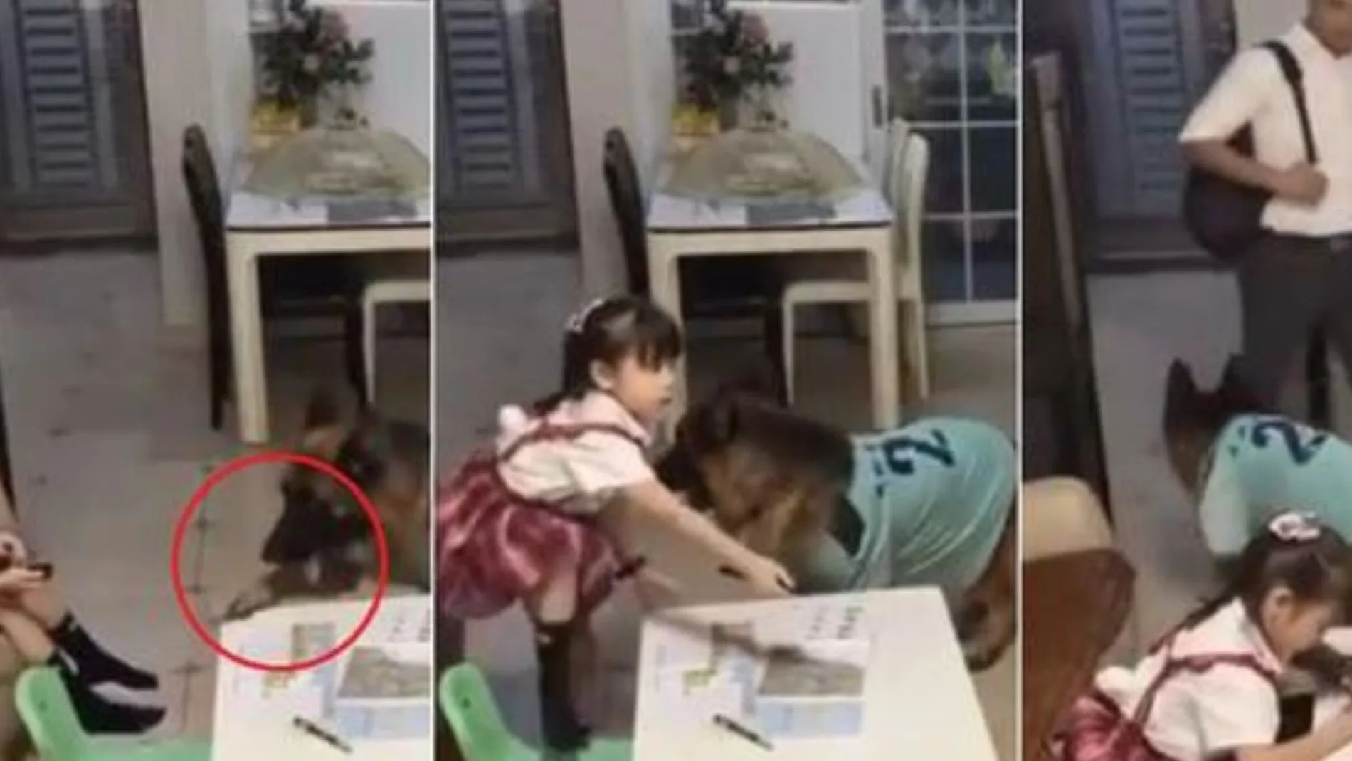 Momento en el que el perro avisa a su gran amiga