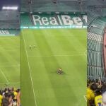 Aficionados del Cádiz en el estadio del Betis