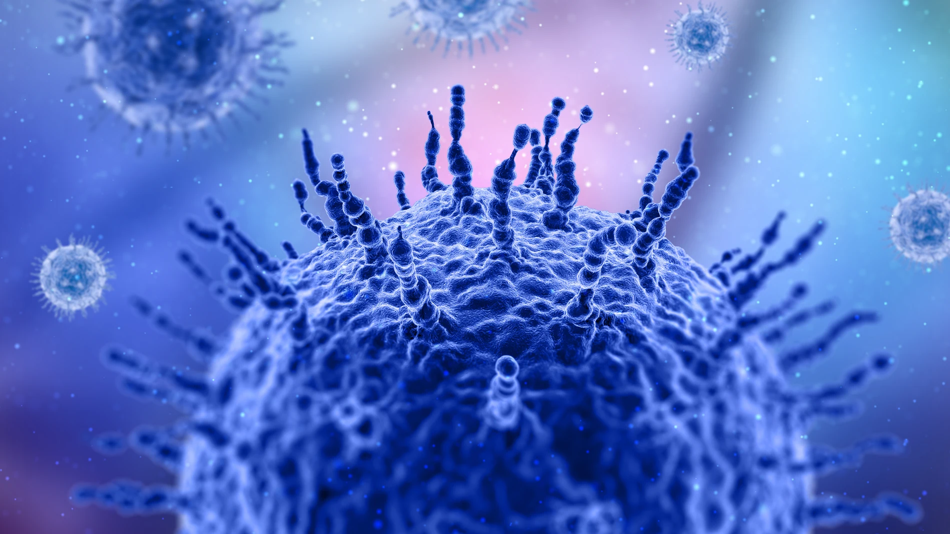 virus coronavirus mutaciones antiviral covid