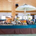 Exposición de setas por los pueblos sorianos